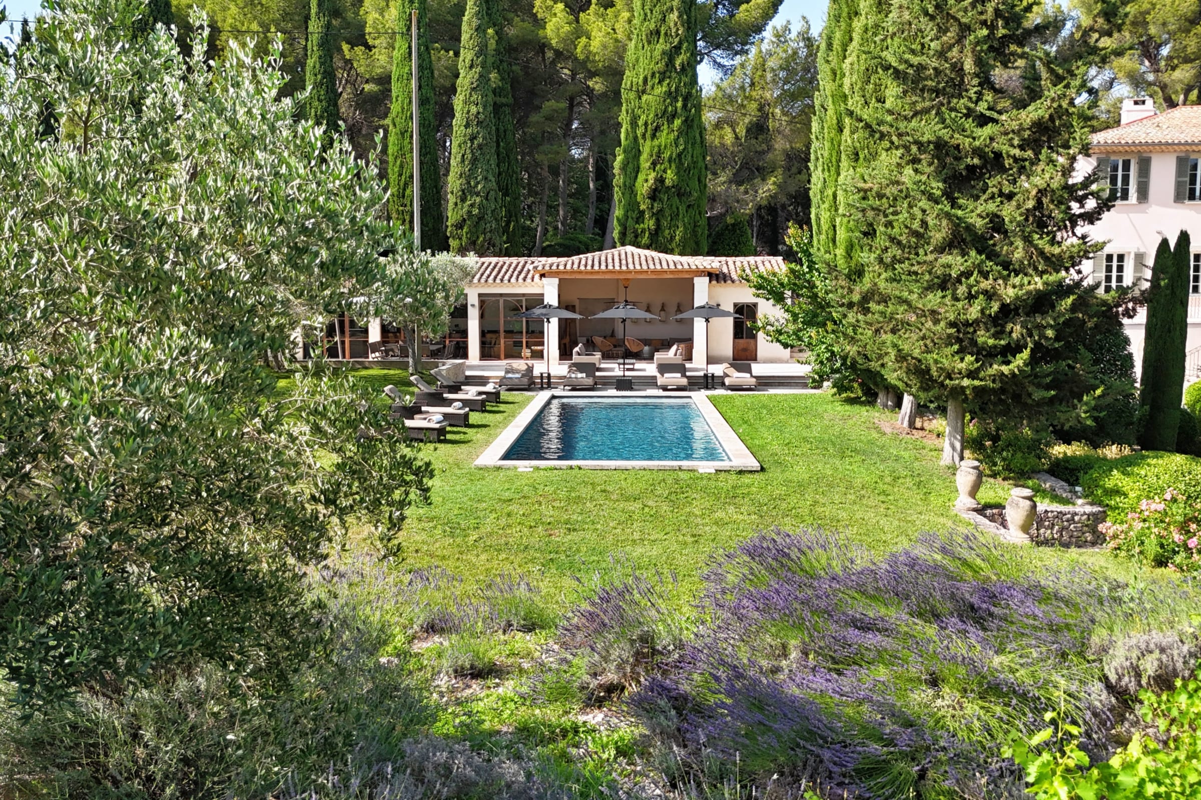 Pool and Lavender